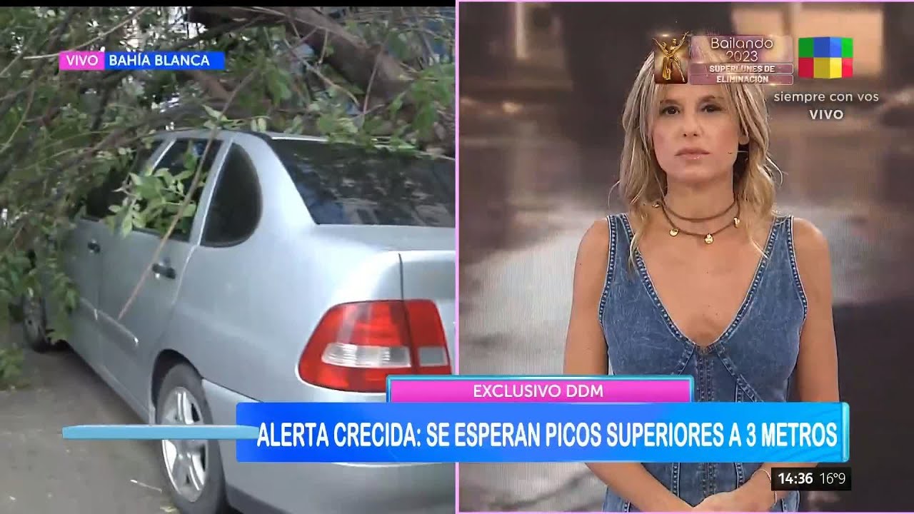 Así quedó el club de Bahía Blanca tras el temporal