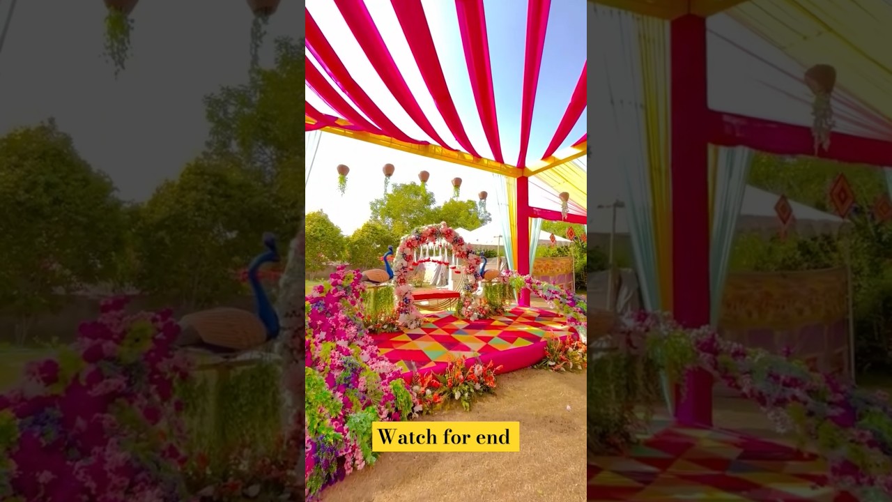 Fabulous & Budget Wedding Lawn Decoration Ideas #trendingshorts #ytshorts #minivlog