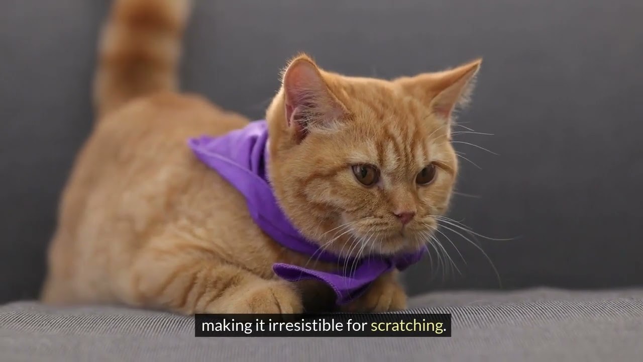 AI Generated Video featuring SmartCat Ultimate Scratching Post