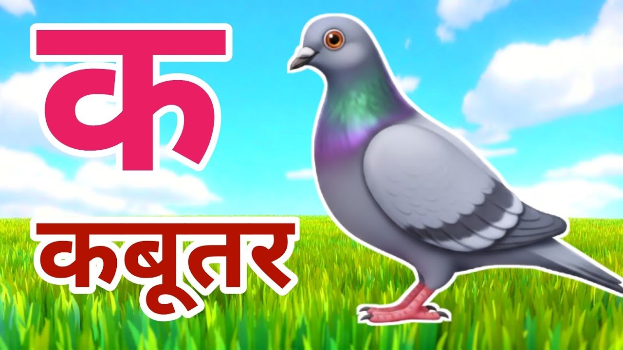 क से कबूतर, अ से अनार a se anaar k se kabutar I Hindi varnmala I ABCD क से कबूतर अ से अनार, for kids