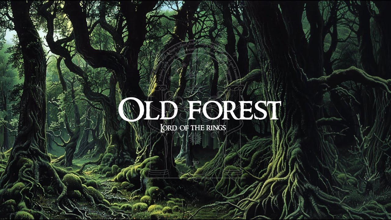 Old Forest soundscape | Escape into Mystical Dark Forest | Lord of the Rings Ambience