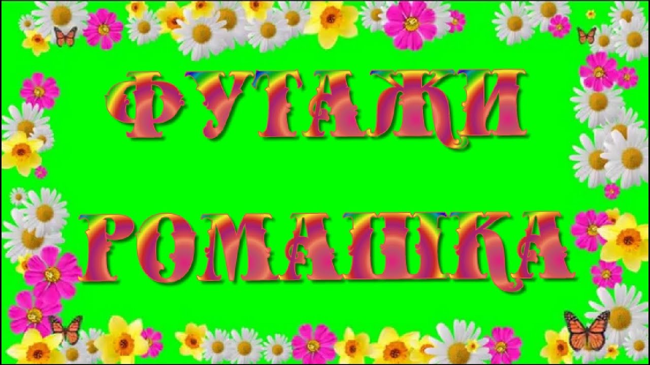 ★► #Футажи. Красивые #Футажи HD для #видеомонтажа #РомашкаБелая #videokanal★►