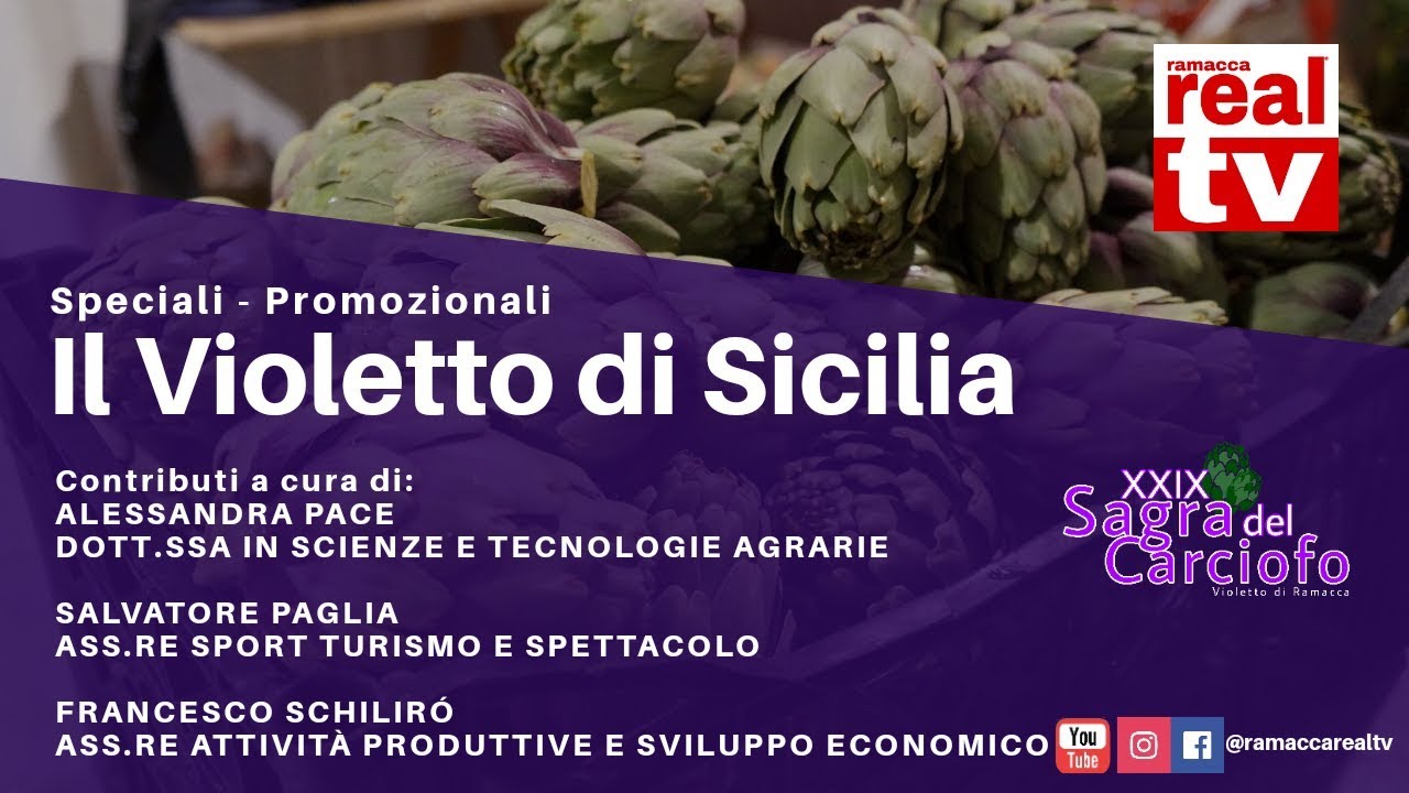 IL VIOLETTO DI SICILIA... VERSO LA XXIX SAGRA DEL CARCIOFO DI RAMACCA