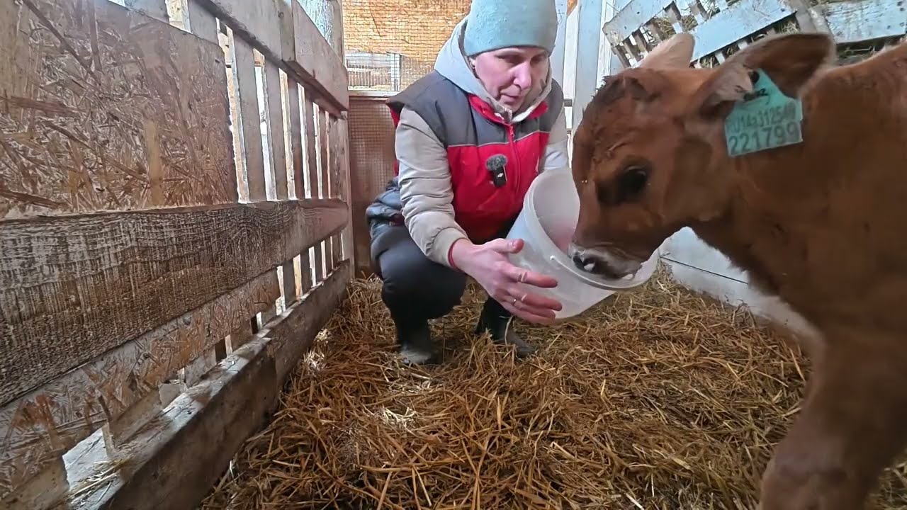 Время уже не то. Приучаемся к ведру 