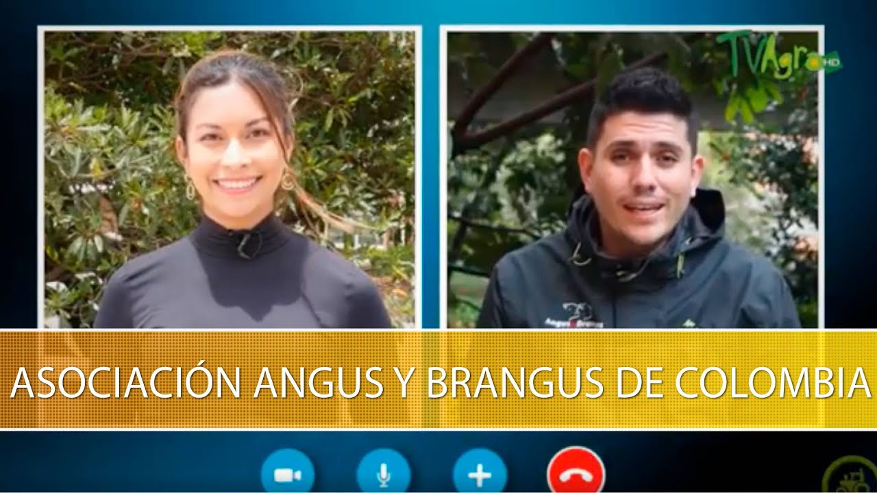 La Asociacion Angus y Brangus de Colombia  - TvAgro por Juan Gonzalo Angel Restrepo