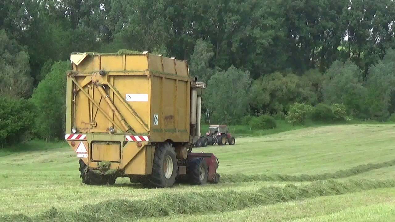 Landb. Baeken - Hoegaarden - Hesston Field Queen 7655