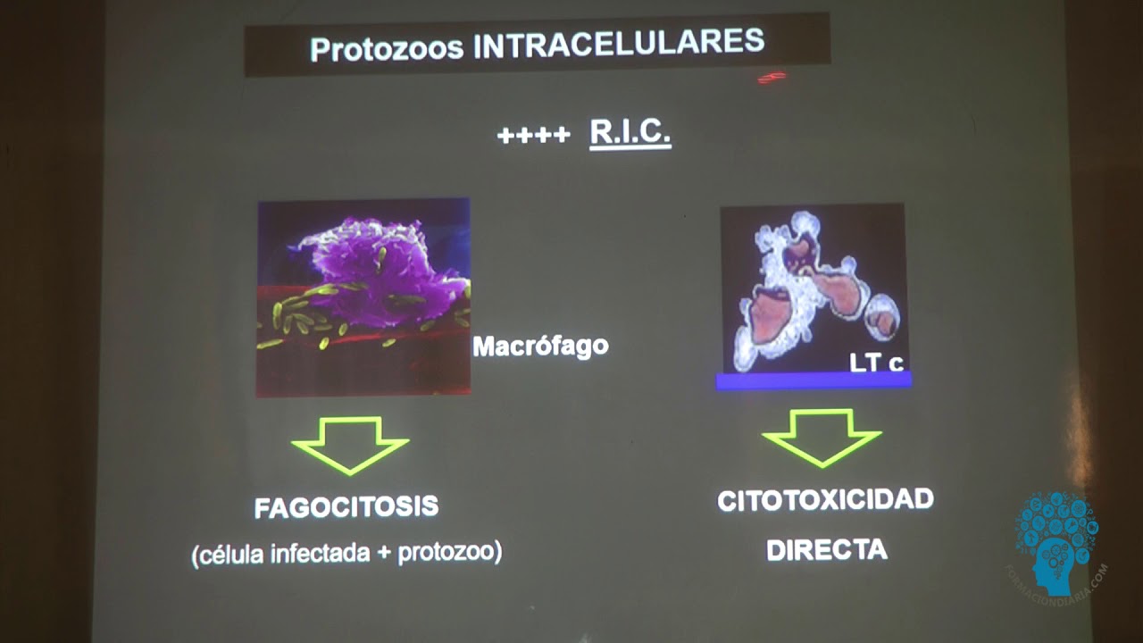 Respuesta Inmunitaria Contra Parásitos