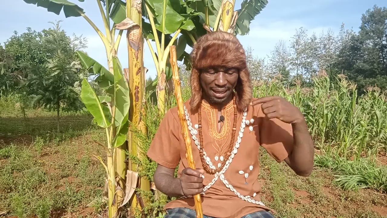kìrumi kìa tììri gìkùyùinì(curse of land in kikuyu community) share and subscribe