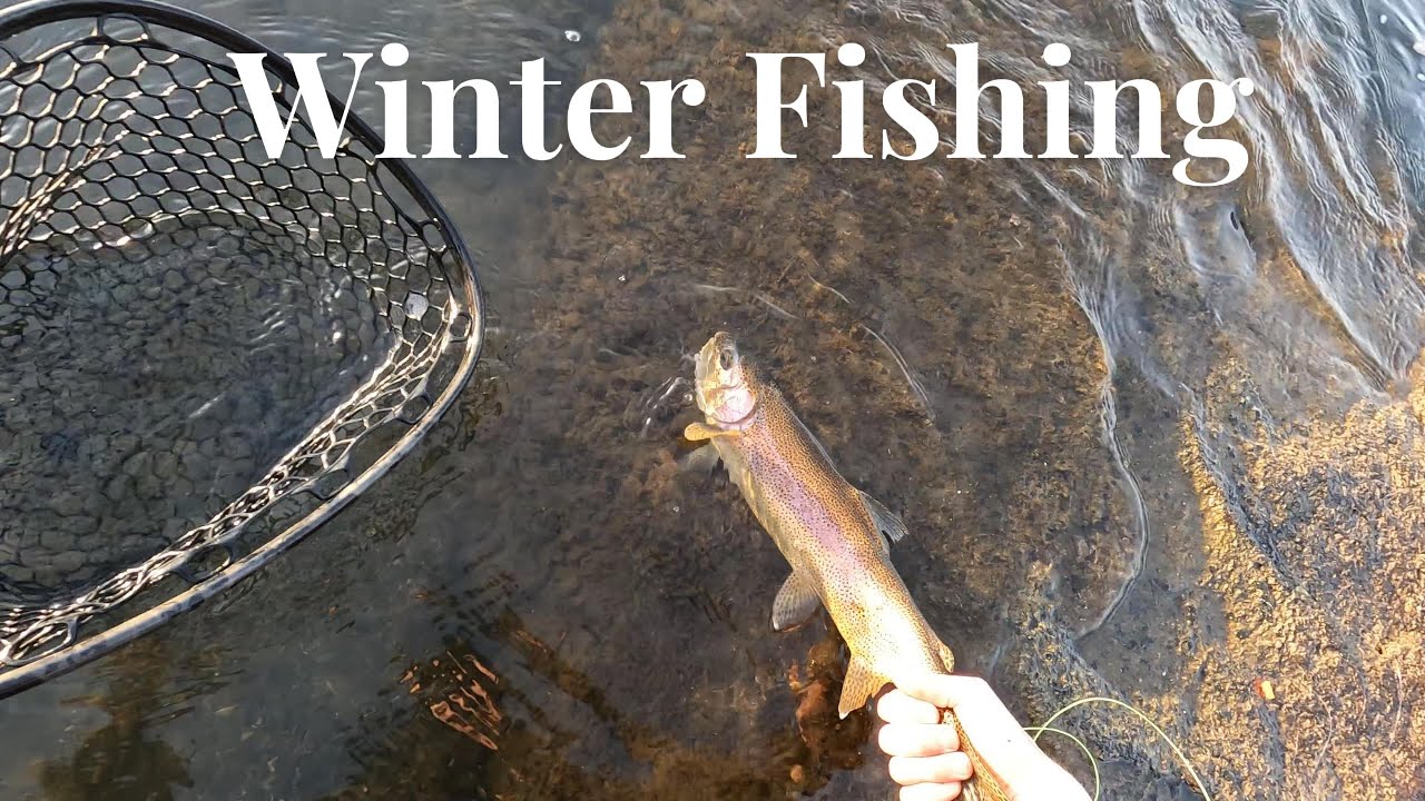 Winter Fishing, First outing of 2026!