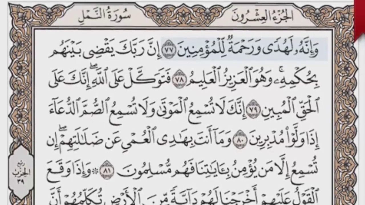 القرآن الكريم بالصفحات صوت وصورة ص/ 384 الشيخ محمود خليل الحصري بمد المنفصل