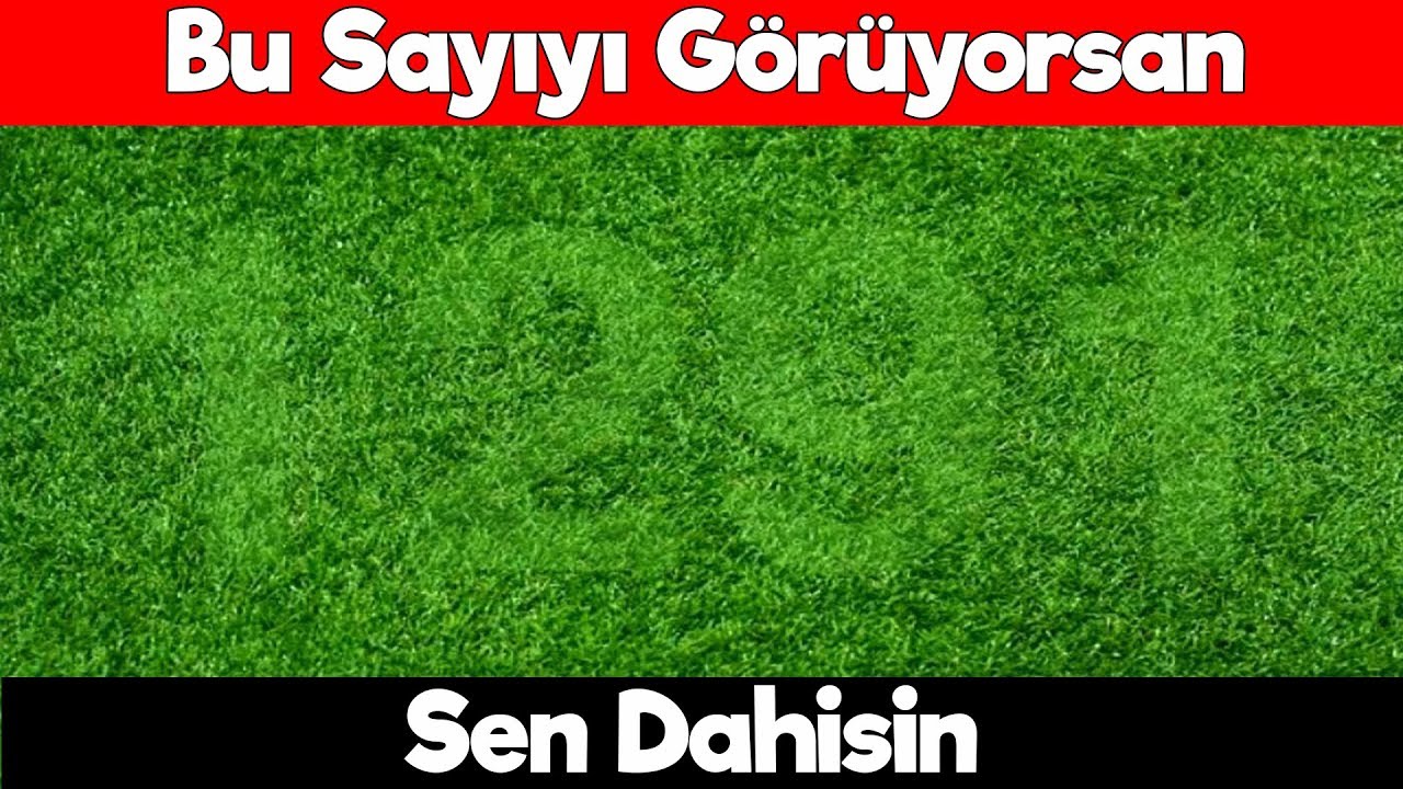 Bu Sayıyı Görüyorsan Sen Dahisin - Mükemmel Göz Testi Oyunu
