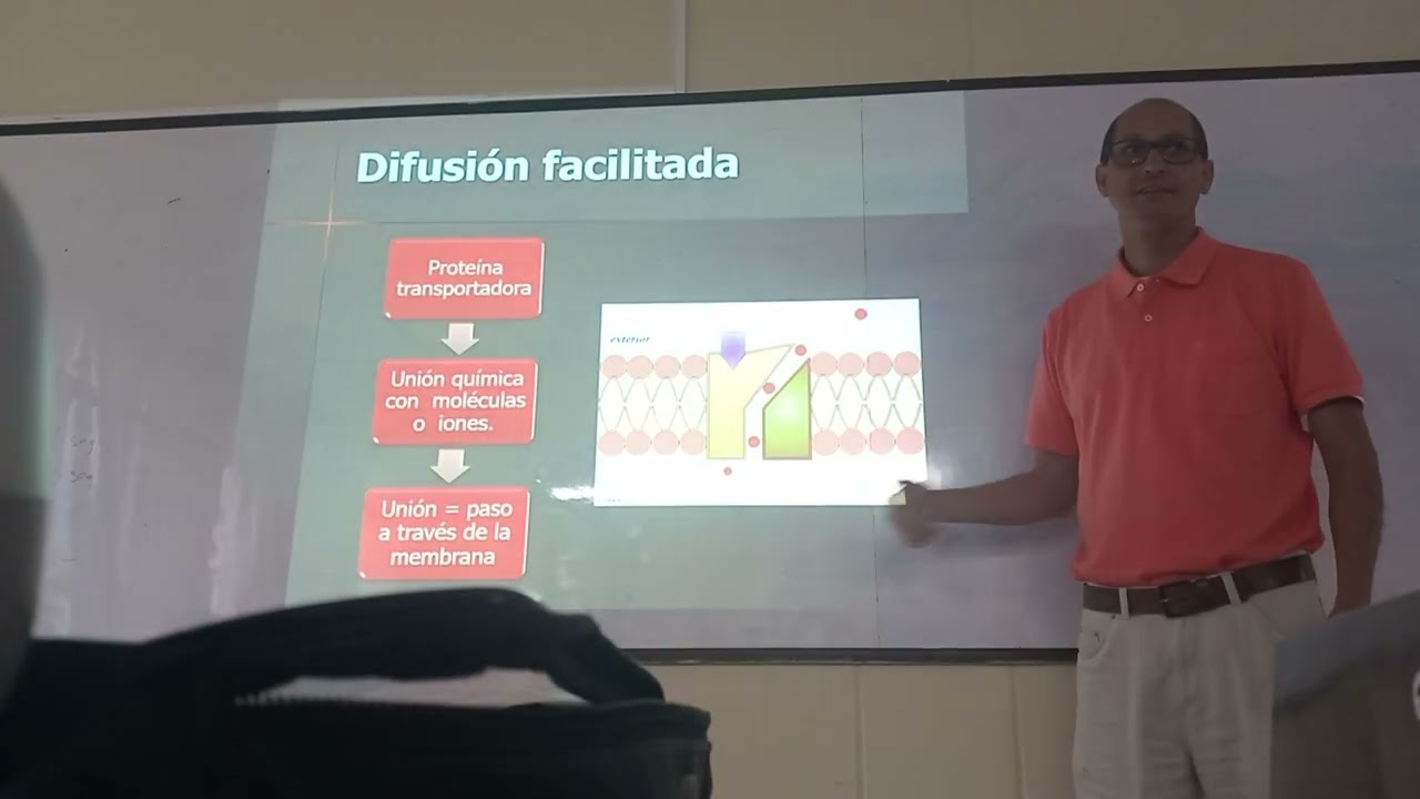 14 de febrero de 2025