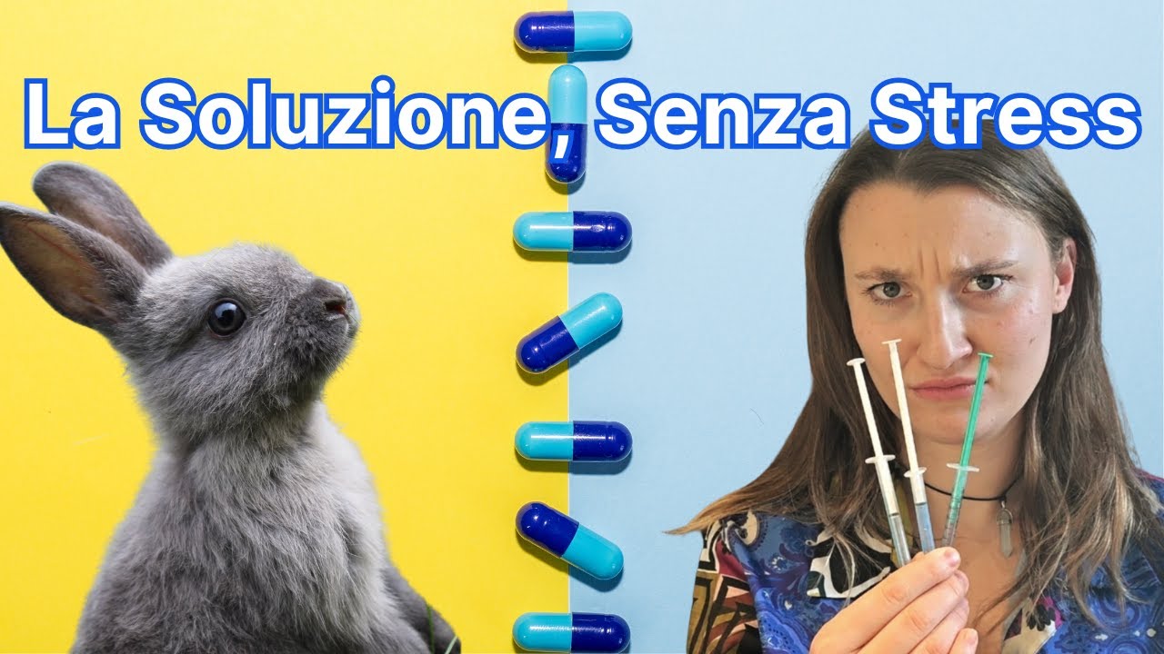 Come Dare i Medicinali ai Conigli: Metodo Facile