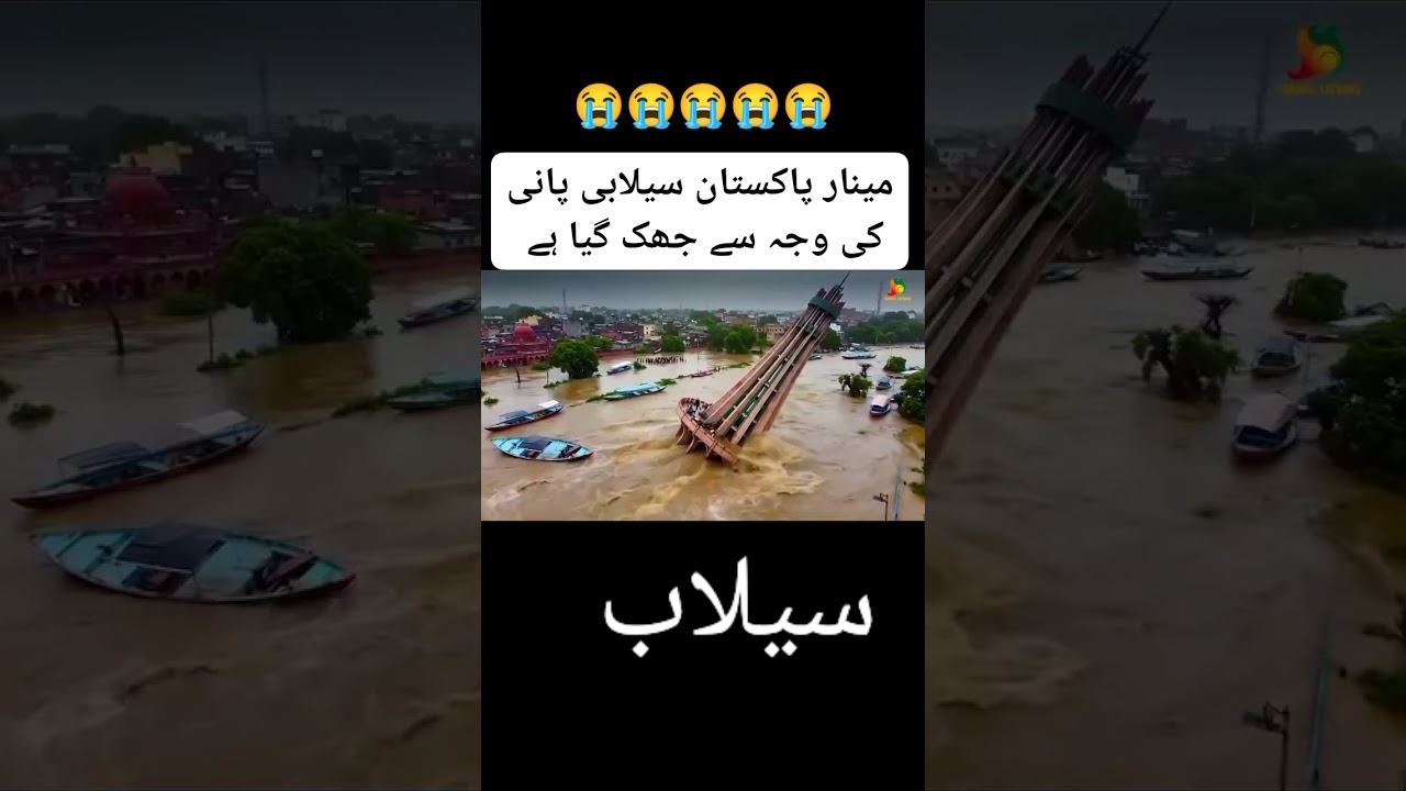 #viralvideo #lifeisbutadream #viralnews #flood #سیلاب #Sailab