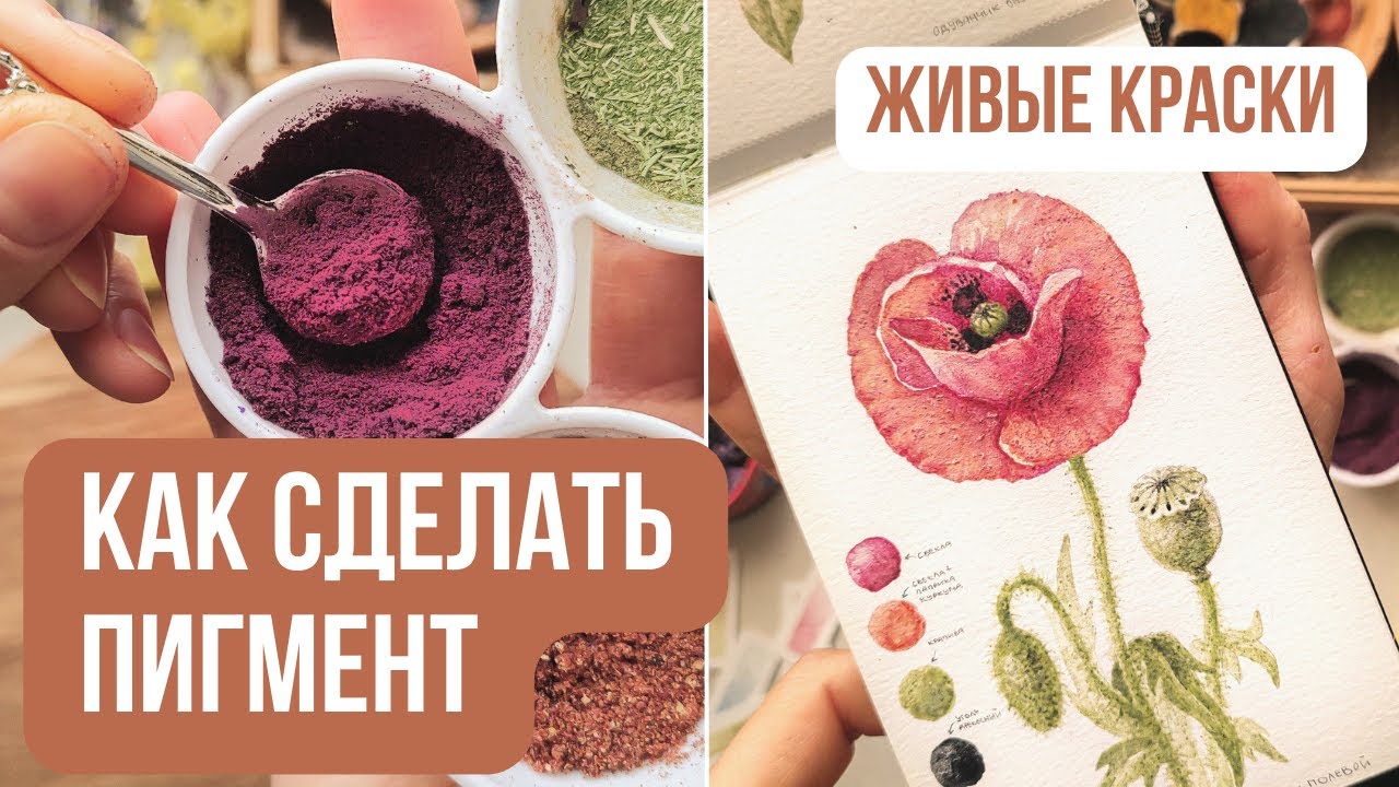 Как сделать ПИГМЕНТ из растений 🎨| Натуральные краски своими руками | Делаем акварельные краски