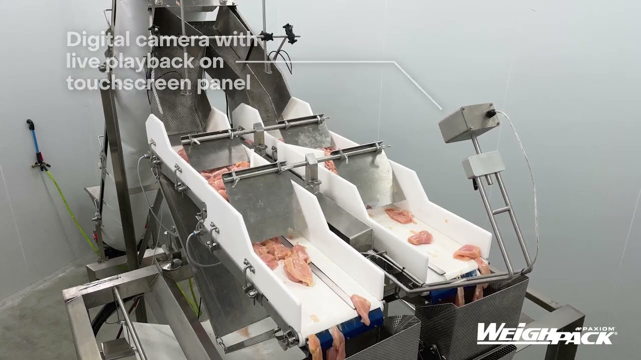 Bulk Weighing & Bagging Fresh Boneless Chicken Thighs with PrimoLinear C 10 with VerTek 1200