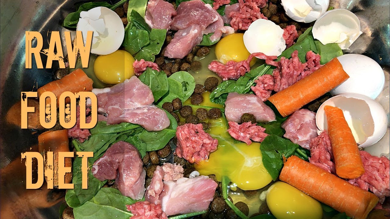 Our Cane Corso Raw Diet