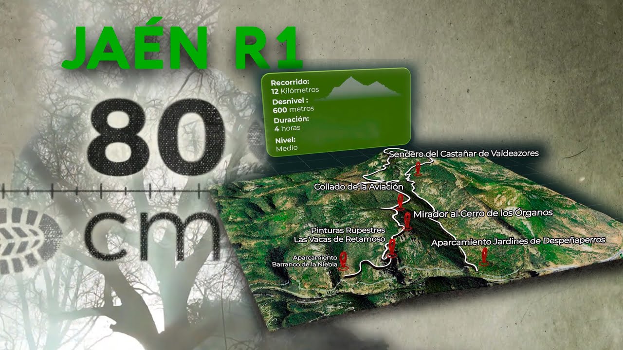 Ja&eacute;n, ruta 1 - 80 cm | La2