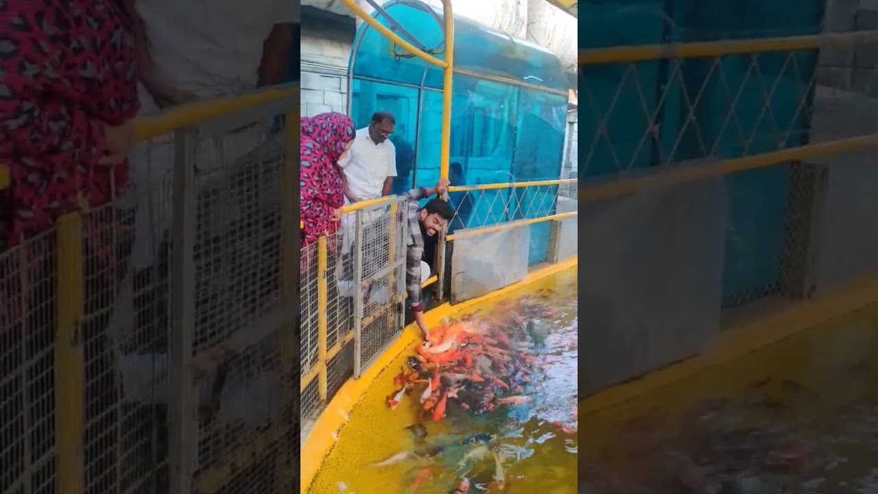 meen pidutham i mean fish catching