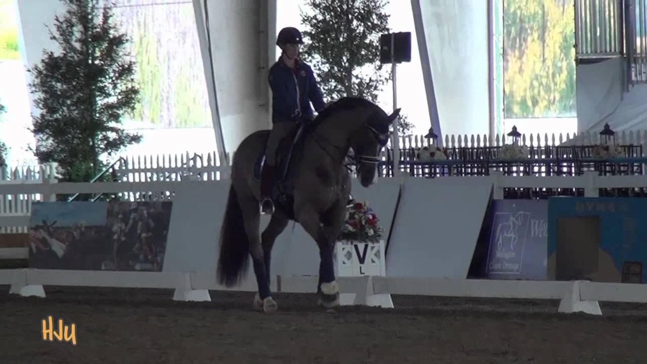HorseJunkiesUnited.com - Charlotte Dujardin and Valegro - Th AM Warm Up WDM2012
