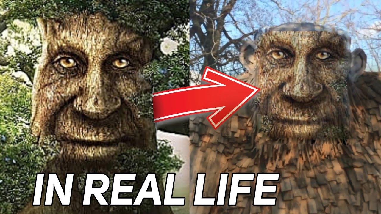Wise Mystical Tree - IN REAL LIFE !!!
