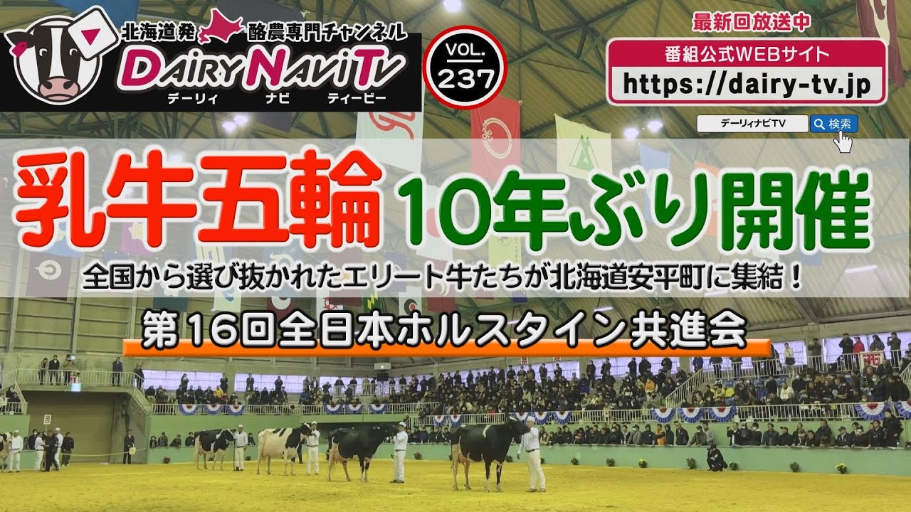 デーリィナビTV #237 『全国から選び抜かれたエリート牛たちが 北海道安平町に集結！』第16回全日本ホルスタイン共進会