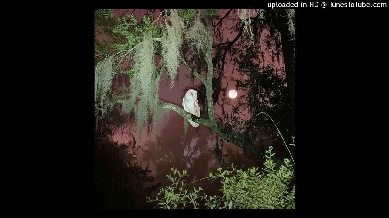 vacatebody – at ease 5 〔sped up〕