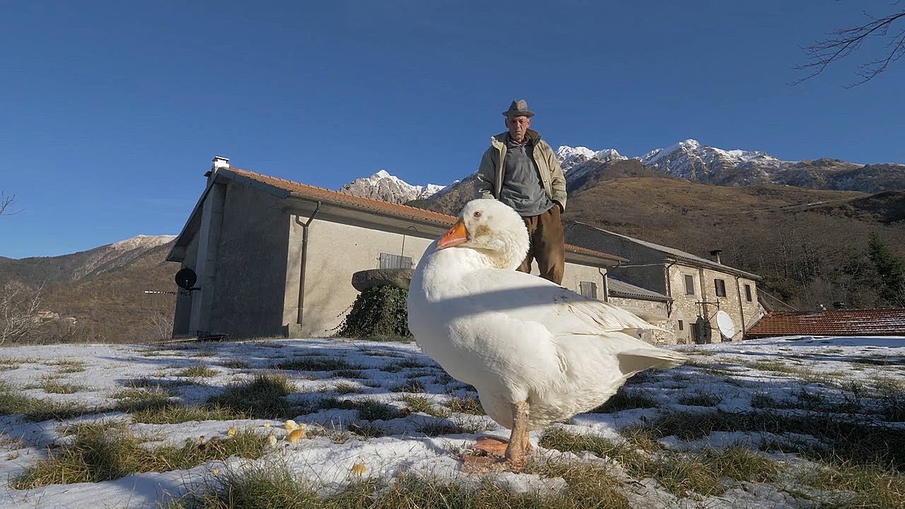 Il fascino della solitudine