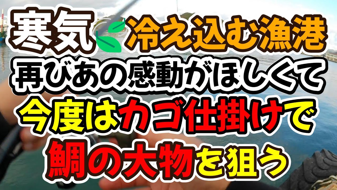 寒気で冷え込む漁港の湾内、再びあの感動を味わいたくて、今度はカゴ仕掛けで鯛の大物を狙う。仕掛け解説あり
