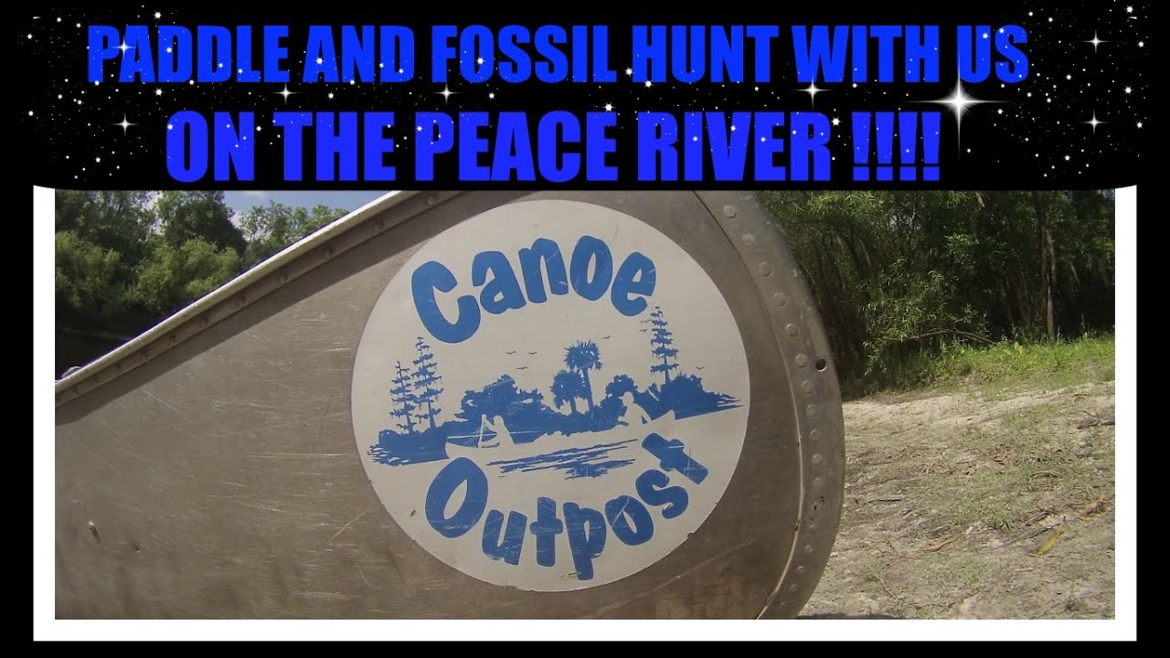 FOSSIL HUNTING AND CANOE TRIP ON THE PEACE RIVER FLORIDA
