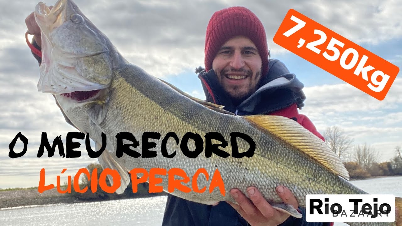 O meu record Lúcio Perca 💥7,250Kg💥 #tejo #zander #bigfish