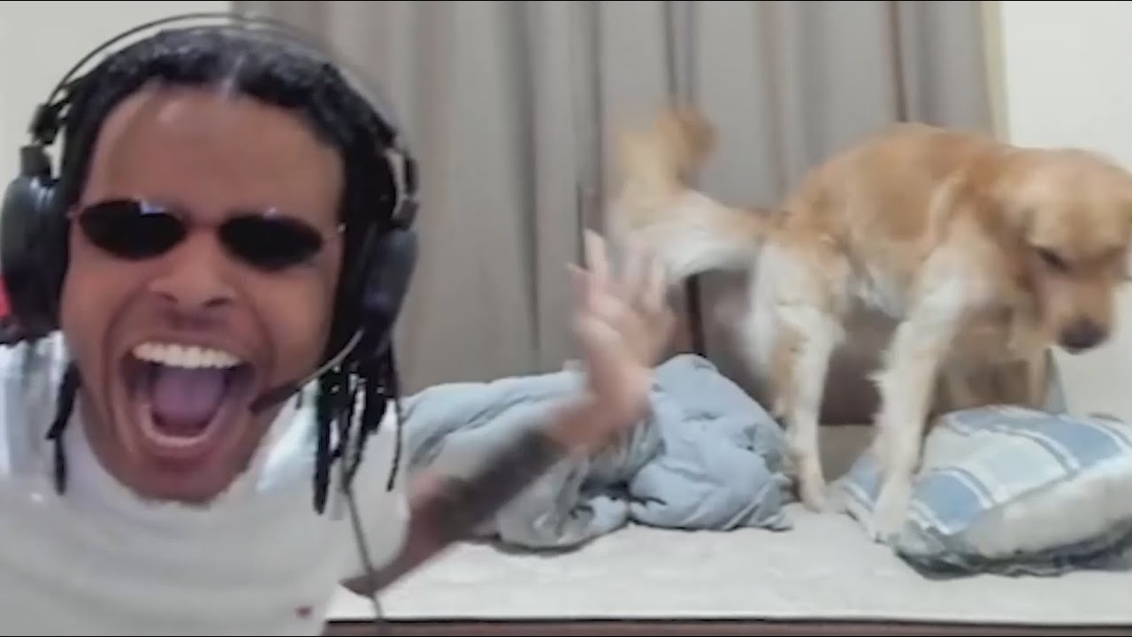 COMO REALMENTE É A LIVE DO BUERO