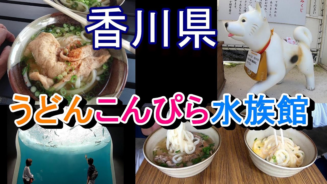 【車中泊で香川県へ】うどん巡り/こんぴらさん/四国水族館