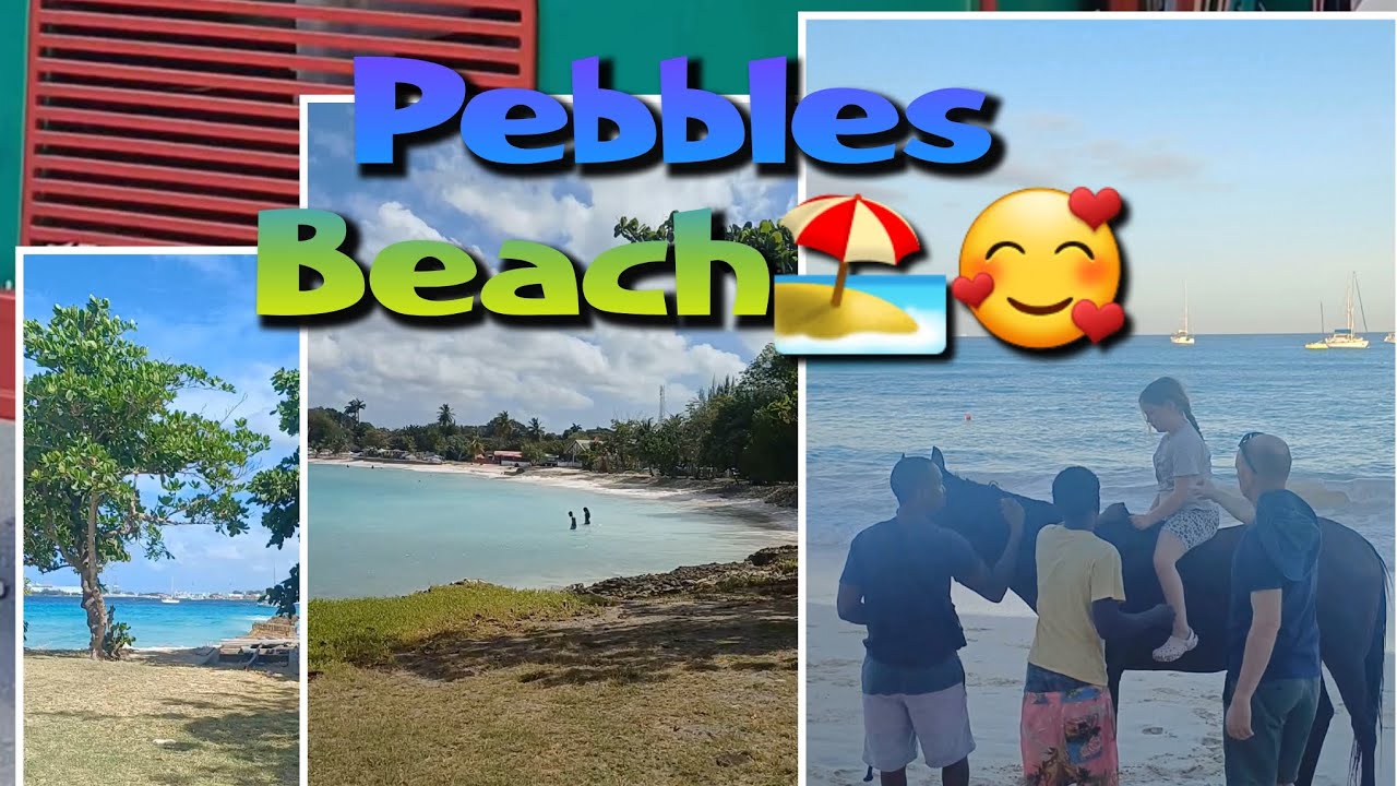 BEAUTIFUL Pebbles beach Barbados🏖🥰 #viral #beach #travel #caribbean #horses 