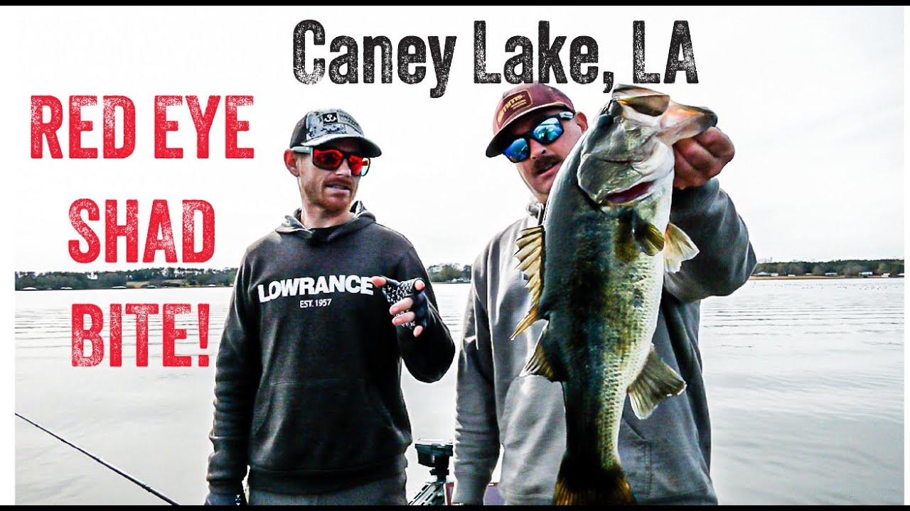 LET’S FISH IS BACK! NEW Season 2025 - #1 SouthEAST
