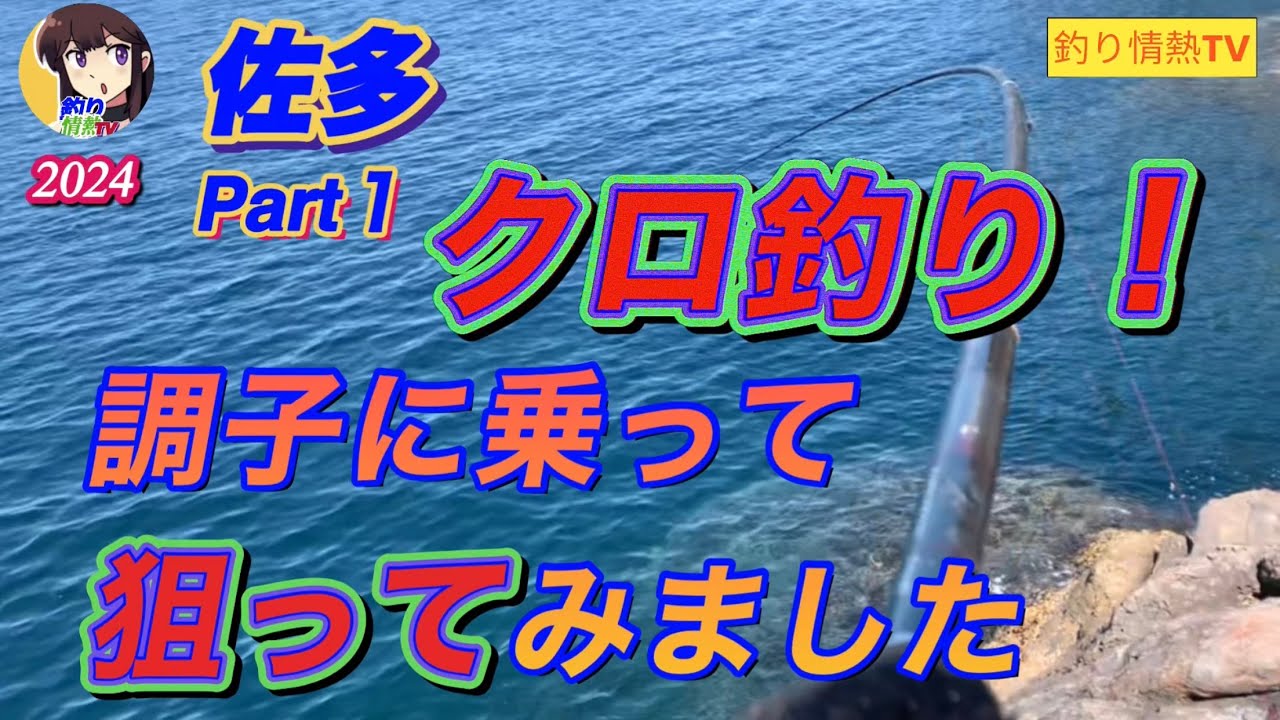 佐多❗️クロ釣り調子に乗って狙ってみました‼️#鹿児島釣り #釣り情熱tv #カゴ釣り #クロ釣り