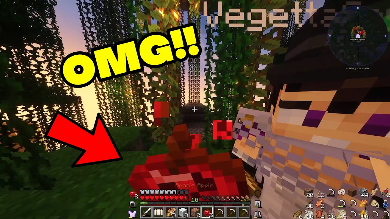 LOLITO se come la MANZANA de ADAM en casa de VEGETTA (por culpa de WILLY) 😆 | Karmaland 5
