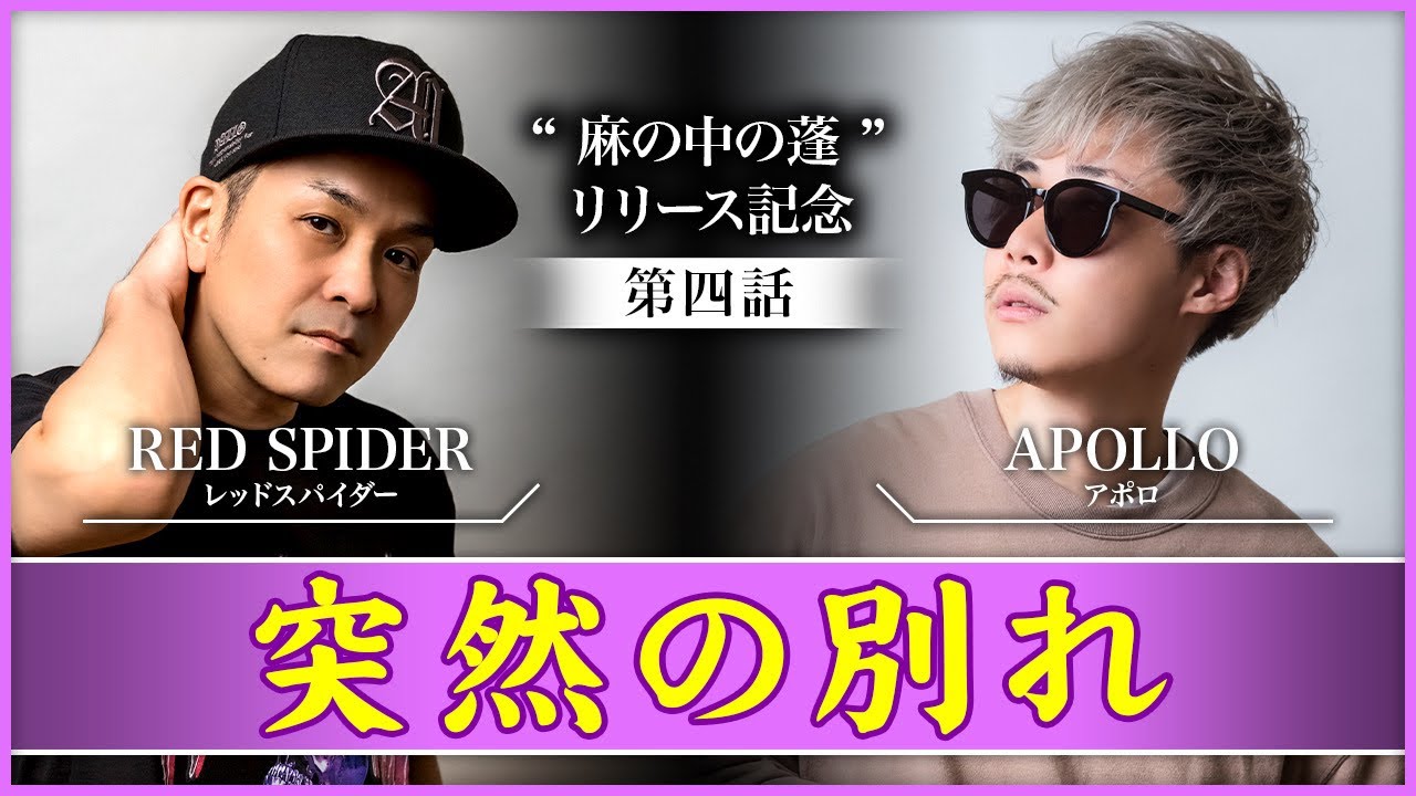 突然の別れ… Apollo✖️Red Spider【対談】 麻の中の蓬リリース記念【第四話】