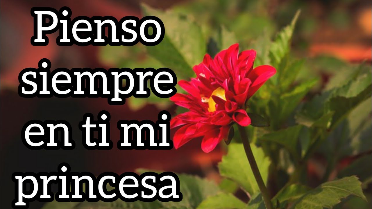 Pienso siempre en ti