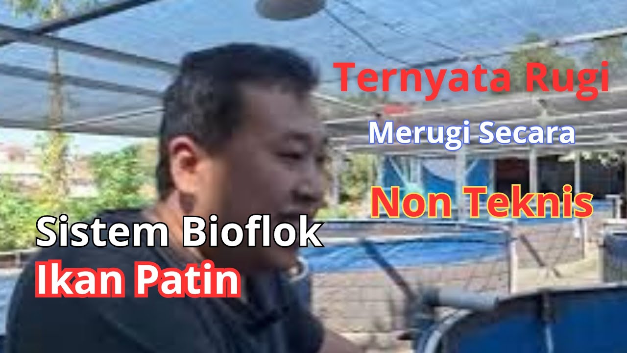 Budidaya Ikan Patin Sistem Bioflok, ternyata merugi secara non teknis