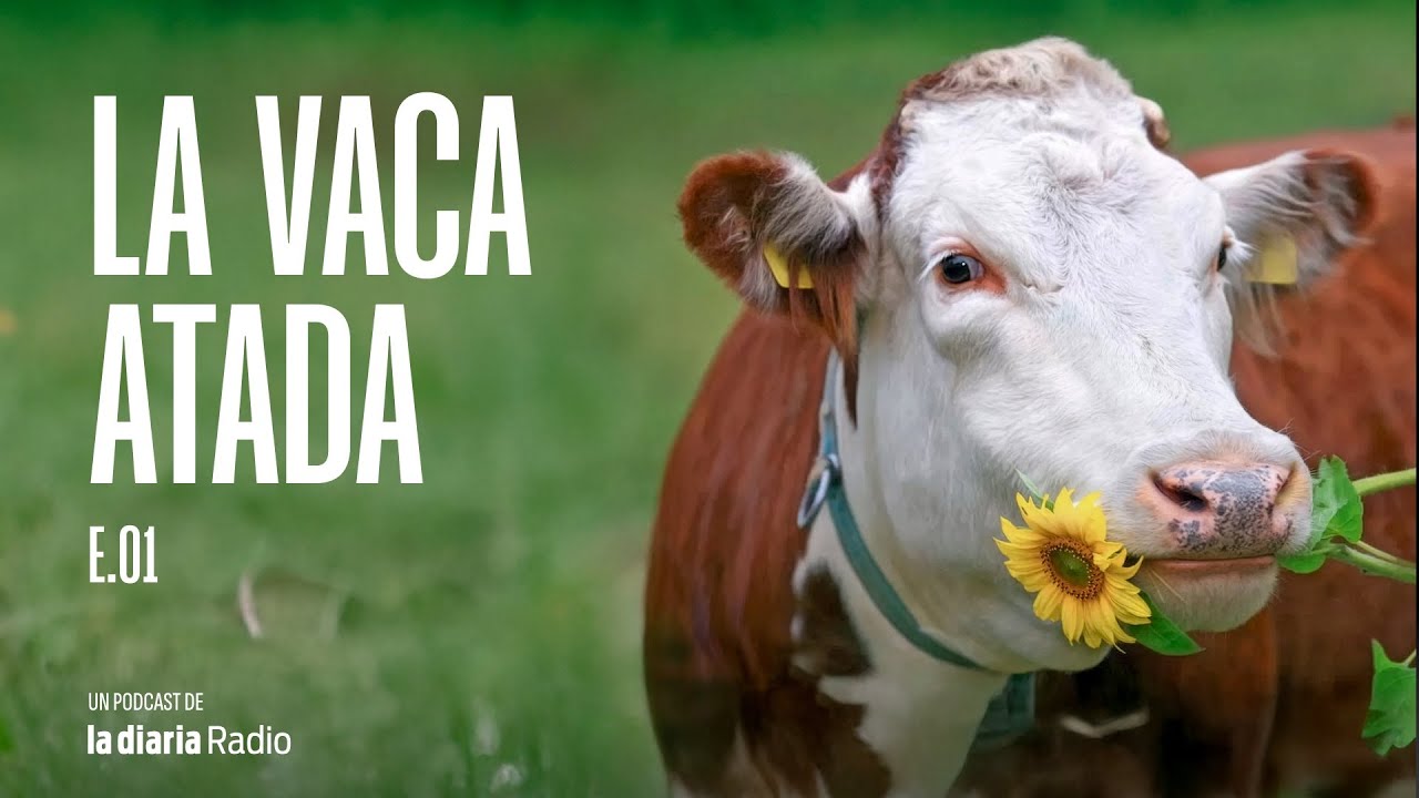 Gustavo Basso, el prestamista que quiso entrar al Opus Dei | La vaca atada 01