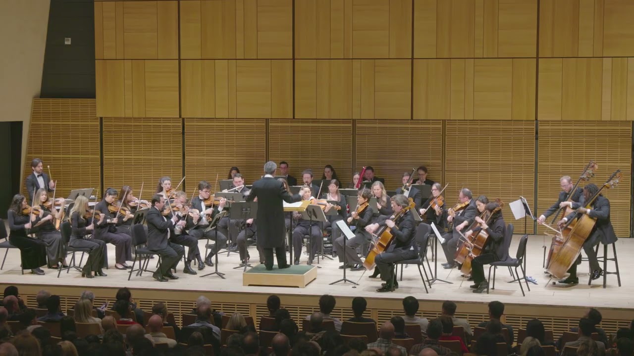 Beethoven, Symphony No. 7 - Chamber Orchestra of New York, S. Di Vittorio, excerpt