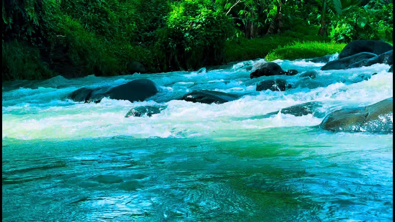 Escape the Chaos of Life and Focus Your Mind on the Pure Mountain River Waterfall Flowing#39