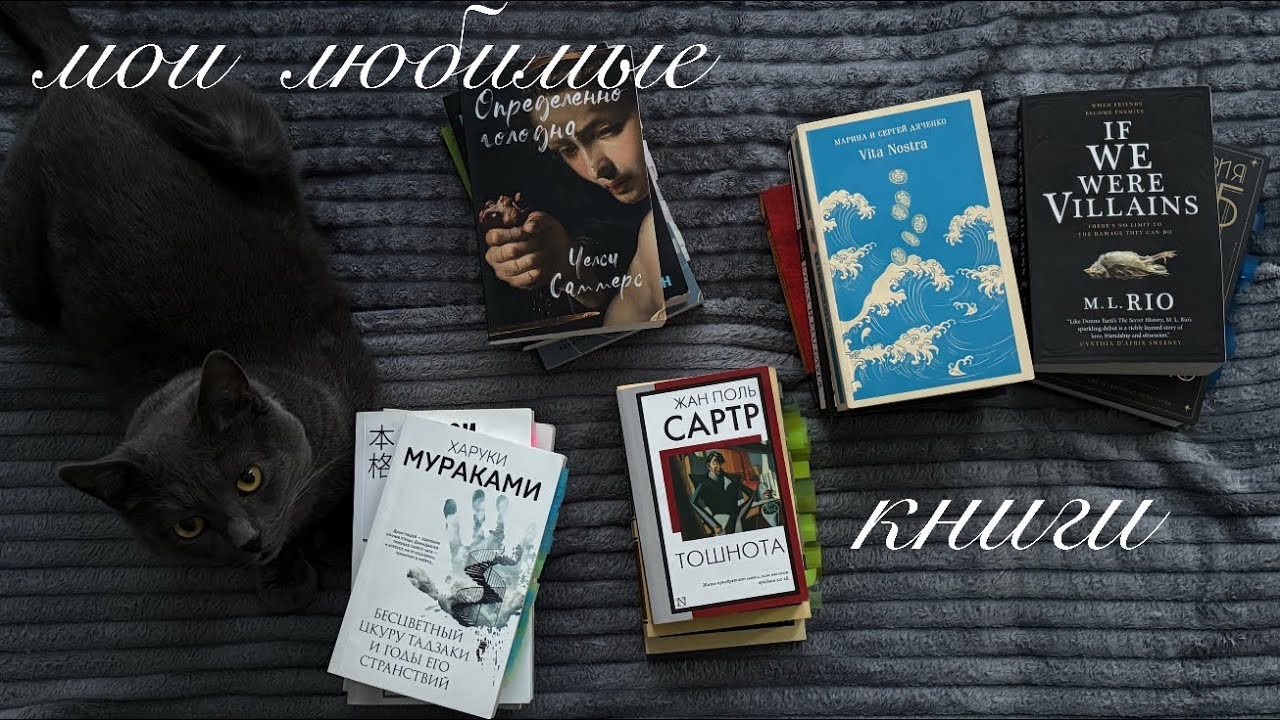 digital diary. полчаса говорю о книгах