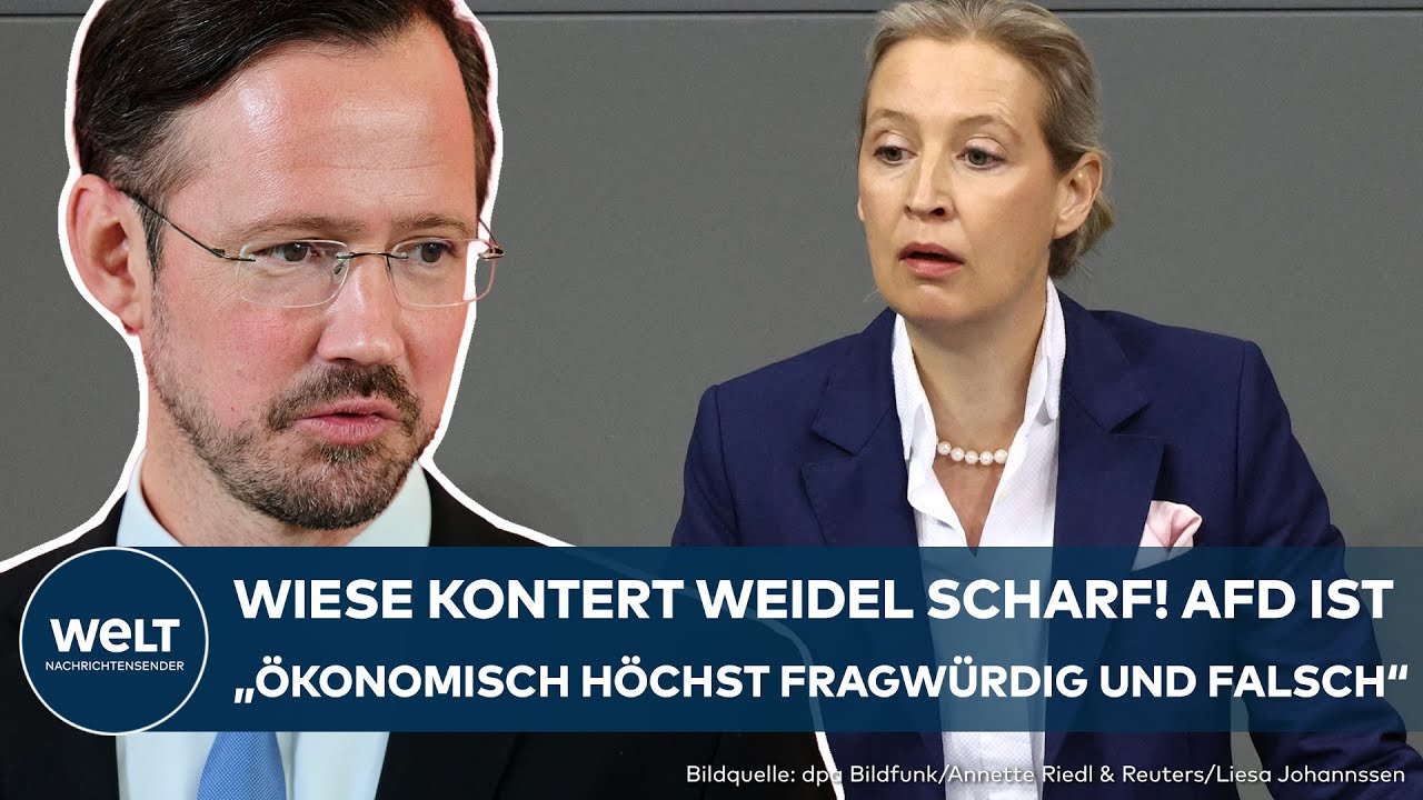 DEUTSCHLAND: Wiese kontert Weidel scharf! AfD ist 