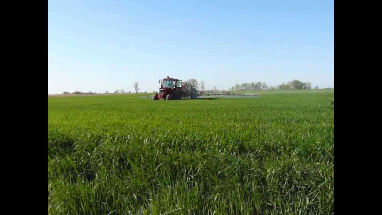 Búza gyomirtás (Mtz-82 + Hardi Commander 2800/18, Mtz-80 + Detk)