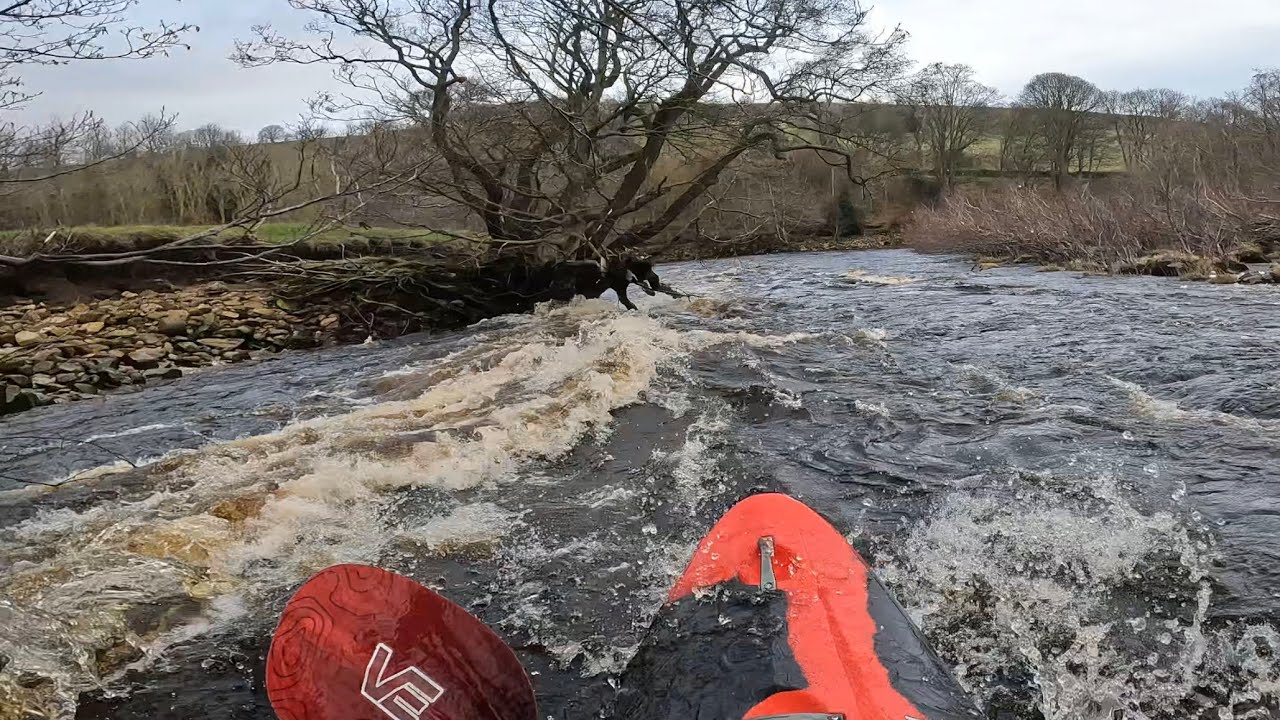 River Swale .49 (Grinton to Richmond) 21 Feb 26