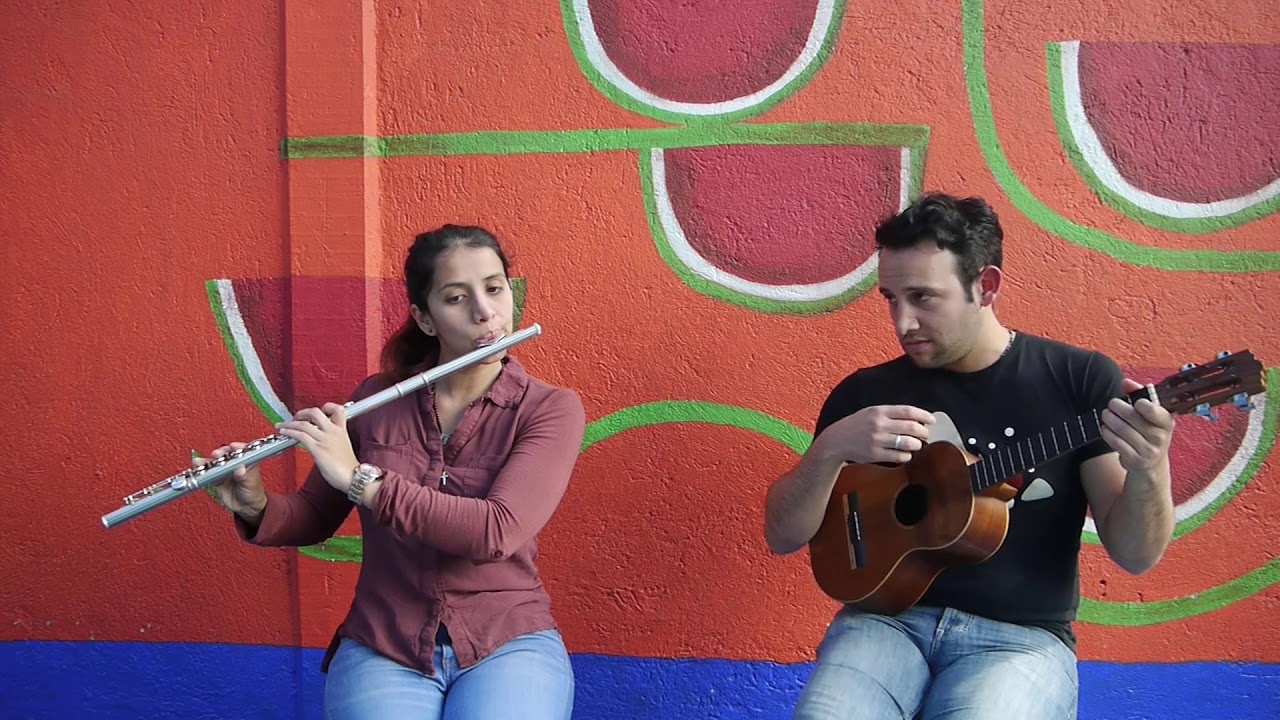 Acidito y Apure en un viaje