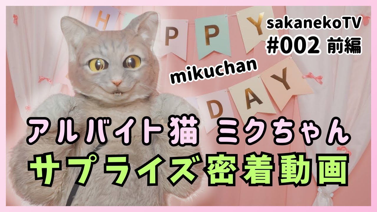 HappyBirthday🎊 アルバイト猫 『ミクちゃん』にお誕生日のサプライズ 🎉  #坂の上の猫 #ミクちゃん #ミクちゃんねる #誕生日 #猫のいる暮らし