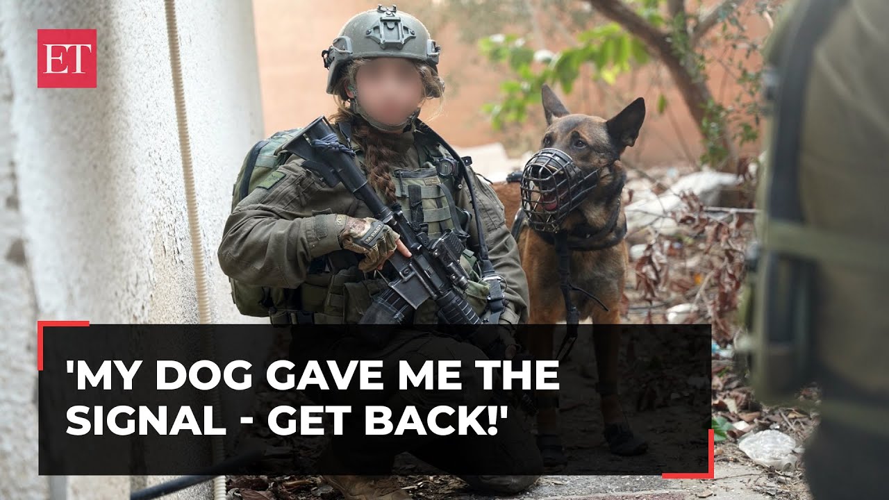 Israel-Hamas War: How dogs helped IDF troops uncover explosive devices, weapons stockpiles in Gaza